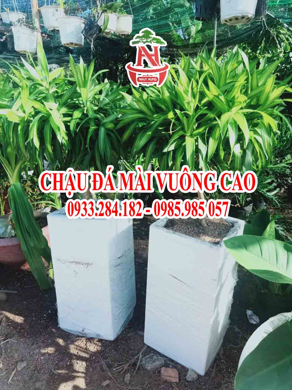 Chậu đá mài vuông cao