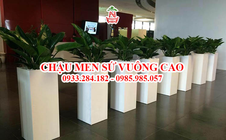 Chậu men sứ vuông cao