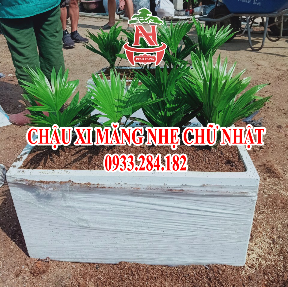 Chậu xi măng nhẹ composite hình chữ nhật.