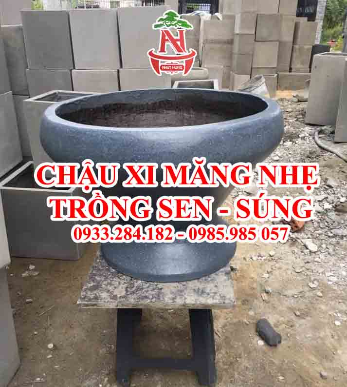 Chậu xi măng nhẹ trồng sen, súng