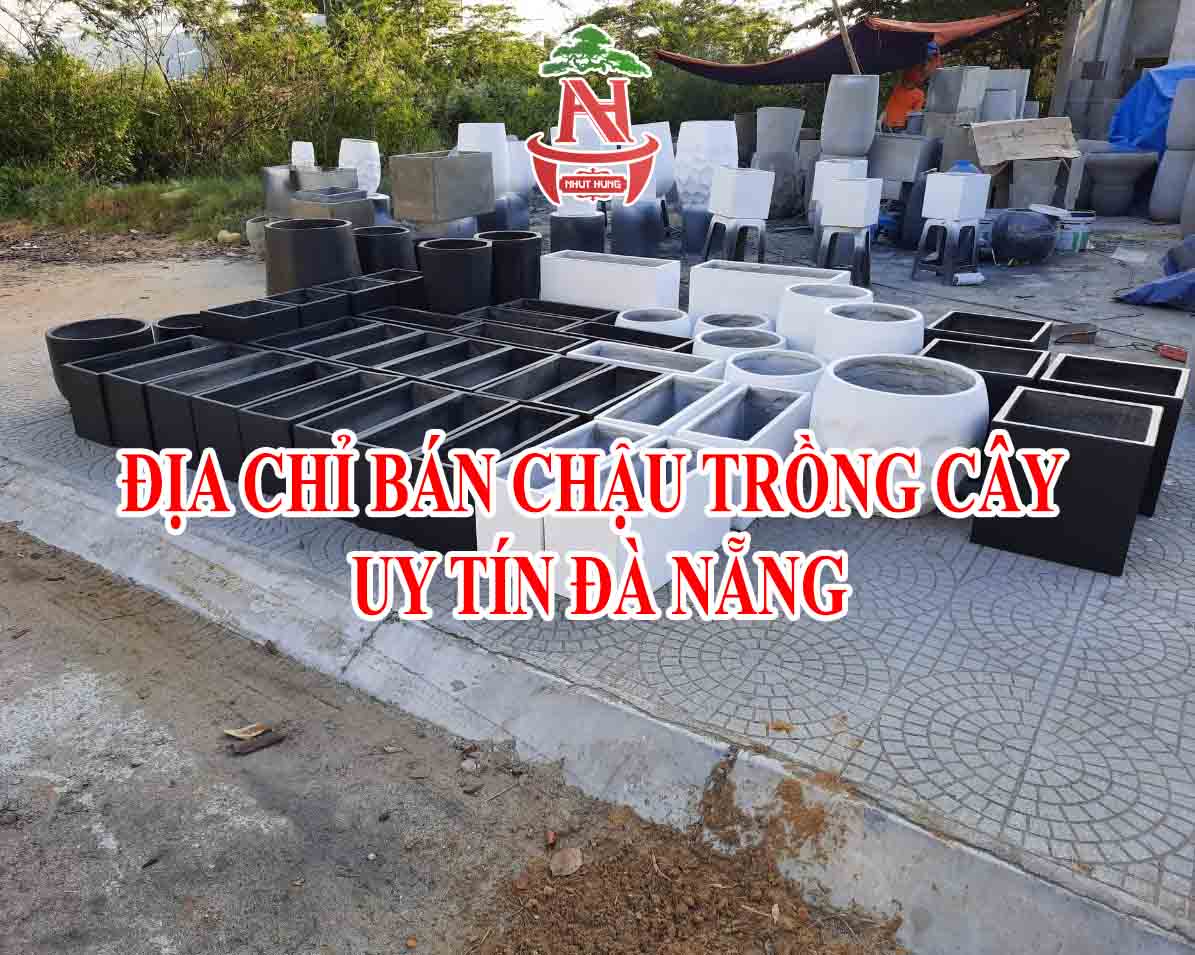 Địa chỉ xưởng bán chậu trồng cây uy tín Đà Nẵng