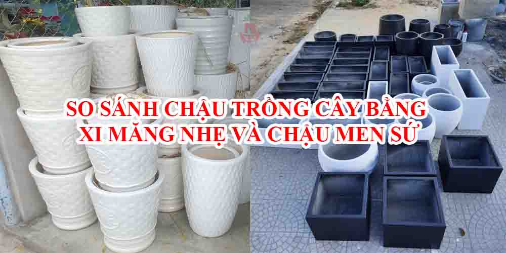 So sánh giữa chậu trồng cây xi măng nhẹ và chậu trồng cây men sứ